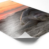 ウミガメの日の入り フォトプリント            (角)