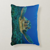ウミガメの枕の下 アクセントクッション (正面(垂直))