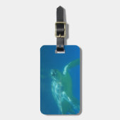 ウミガメの水泳の荷物のラベル ラゲッジタグ (正面縦)