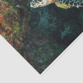 ウミガメの海の海と生活 薄葉紙 (詳細)