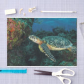 ウミガメの海の海と生活 薄葉紙 (クラフト)