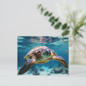ウミガメの海 ポストカード (スタンド正面)