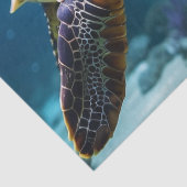 ウミガメの海 薄葉紙 (詳細)