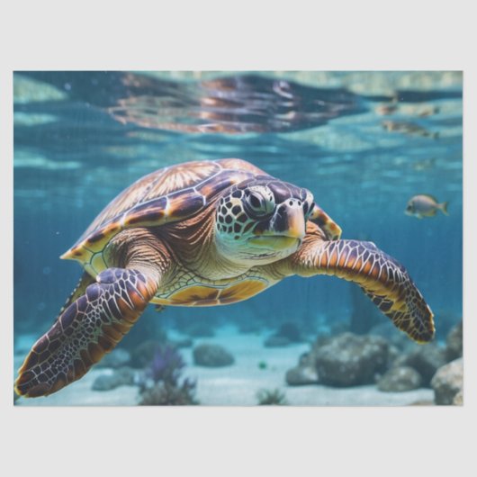 ウミガメの海 薄葉紙 (正面)