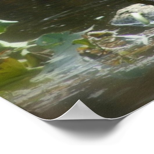 ウミガメの緑 ポスター (角)