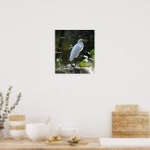 ウミガメの緑 ポスター (キッチン)