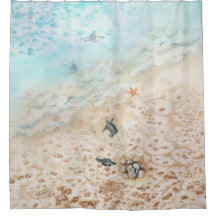 ウミガメの航海