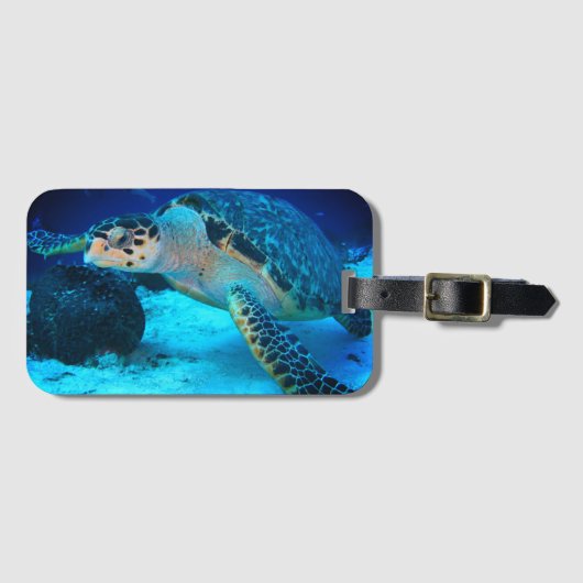 ウミガメの荷札 ラゲッジタグ (正面横)