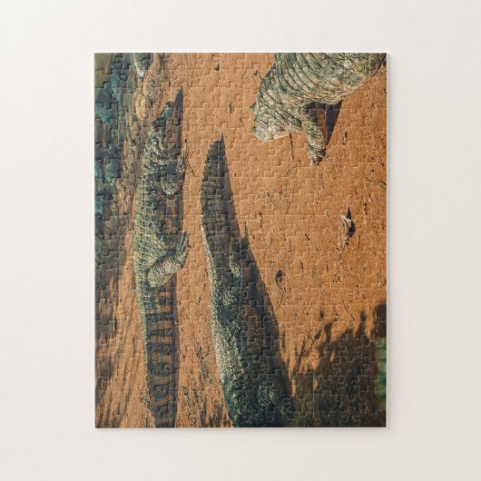 ウミガメの近くで日光浴をする短い鼻のクロコダイズ ジグソーパズル (縦)