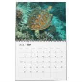 ウミガメの1年 カレンダー (3月 2027)