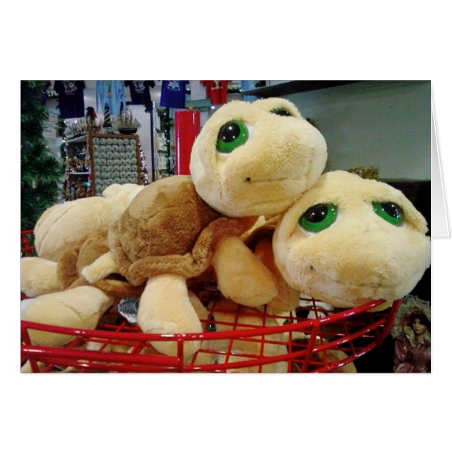 ウミガメは特別なナイトビジョンを持っている（ヤドリギ） (正面横)