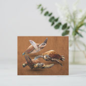 ウミガメを救消滅させる ポストカード (スタンド正面)