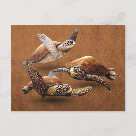 ウミガメを救消滅させる ポストカード (正面)