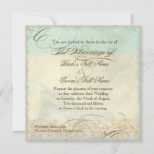 ウミガメモダン沿岸海ビーチスワーズスタイル