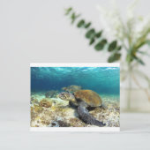 ウミガメリラックスが熱帯性ラグーンに水中に ポストカード (スタンド正面)
