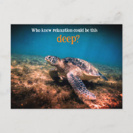 ウミガメリラックスの水中 シーズンポストカード