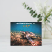 ウミガメリラックスの水中 シーズンポストカード (スタンド正面)