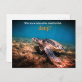 ウミガメリラックスの水中 シーズンポストカード (正面/裏面)