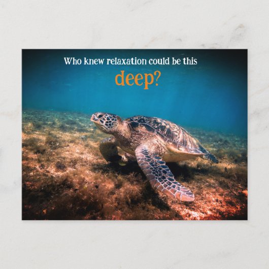 ウミガメリラックスの水中 シーズンポストカード (正面)