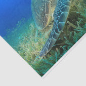 ウミガメ水下ブルー海 薄葉紙 (詳細)