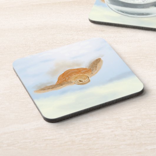 ウミガメ水下。 コースター (左側)