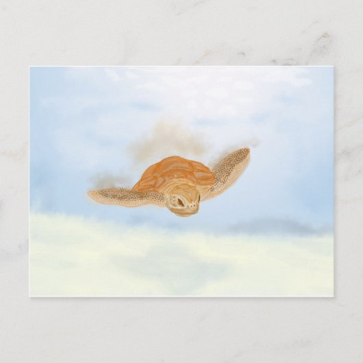 ウミガメ水下。 ポストカード (正面)