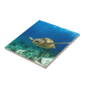 ウミガメ水中 タイル (側面)