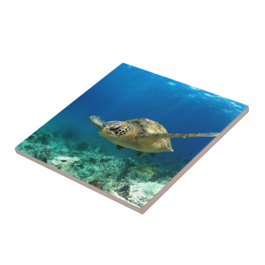 ウミガメ水中 タイル (側面)