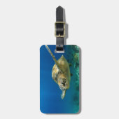 ウミガメ水中 ラゲッジタグ (正面縦)