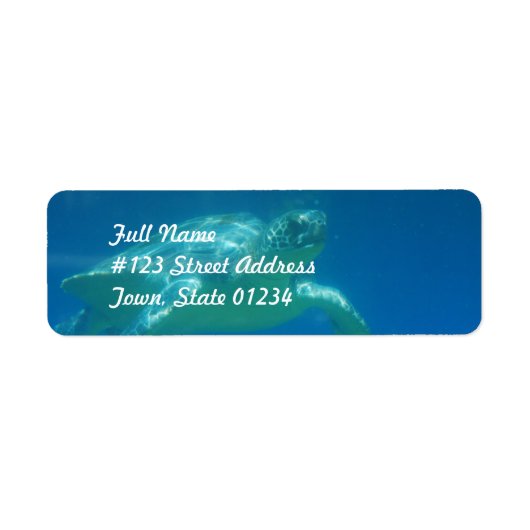 ウミガメ水泳郵便ラベル ラベル (正面)