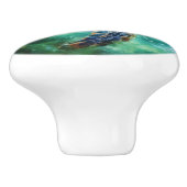 ウミガメ水色 セラミックノブ (側面)