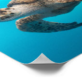 ウミガメ泳ぎ ポスター (角)