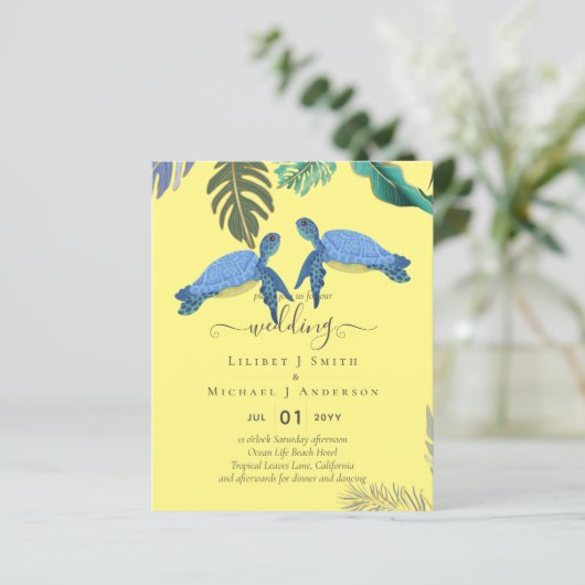 ウミガメ結婚の青い黄色 (スタンド正面)