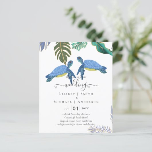 ウミガメ結婚の青い黄色 (スタンド正面)