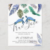 ウミガメ結婚の青い黄色 (正面)