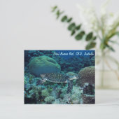 ウミガメ葉書 ポストカード (スタンド正面)