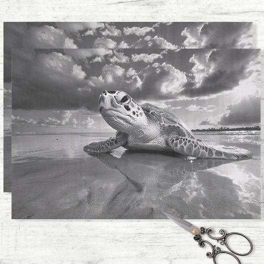 ウミガメ黒と白のデコパージュ 薄葉紙