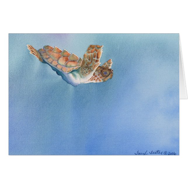 ウミガメ (正面横)