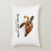 ウミガメ アクセントクッション (正面(垂直))