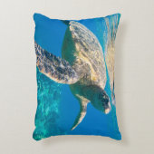 ウミガメ アクセントクッション (正面(垂直))