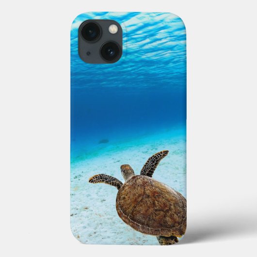 ウミガメ、ウミガメ、ウミガメ Case-Mate iPhoneケース (裏面)