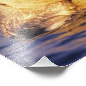 ウミガメ、エンヒドラルトリス3 フォトプリント (角)