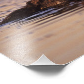 ウミガメ、エンヒドラルトリス3 フォトプリント            (角)