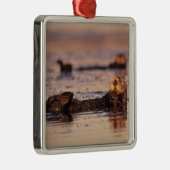 ウミガメ、エンヒドラルトリス3 メタルオーナメント (右)