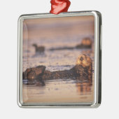 ウミガメ、エンヒドラルトリス3 メタルオーナメント (左)