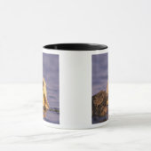 ウミガメ、エンヒドラルトリス5 マグカップ (中央)