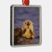 ウミガメ、エンヒドラルトリス5 メタルオーナメント (右)