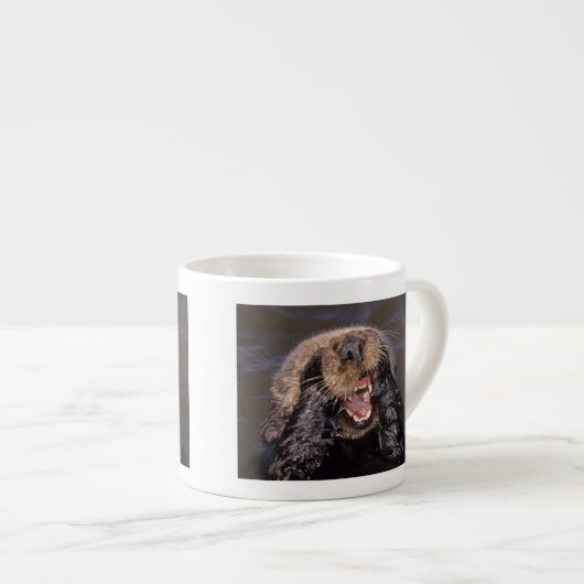 ウミガメ、エンヒドラルトリス6 エスプレッソカップ (正面右)