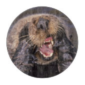 ウミガメ、エンヒドラルトリス6 カッティングボード (正面)