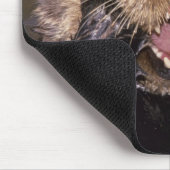 ウミガメ、エンヒドラルトリス6 マウスパッド (コーナー)